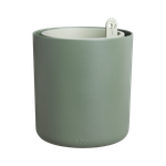 bouncy basil leaf green